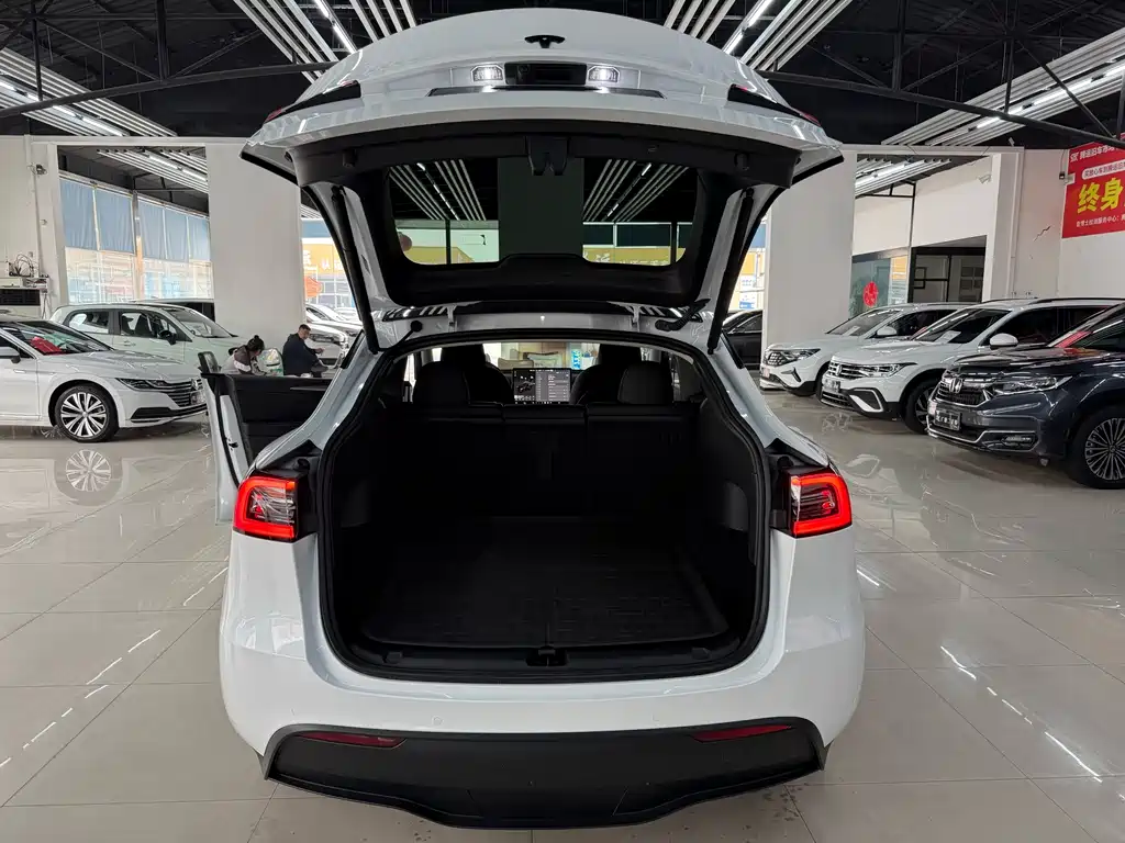 Tesla Model Y — миниатюра 23