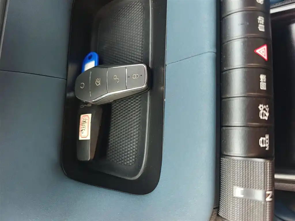 BYD Dolphin 2021 405km Fashion