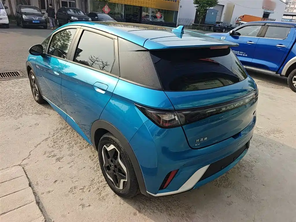 BYD Dolphin 2021 405km Fashion
