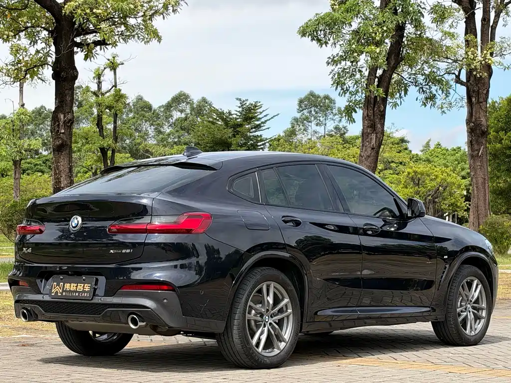 BMW X4 — миниатюра 6