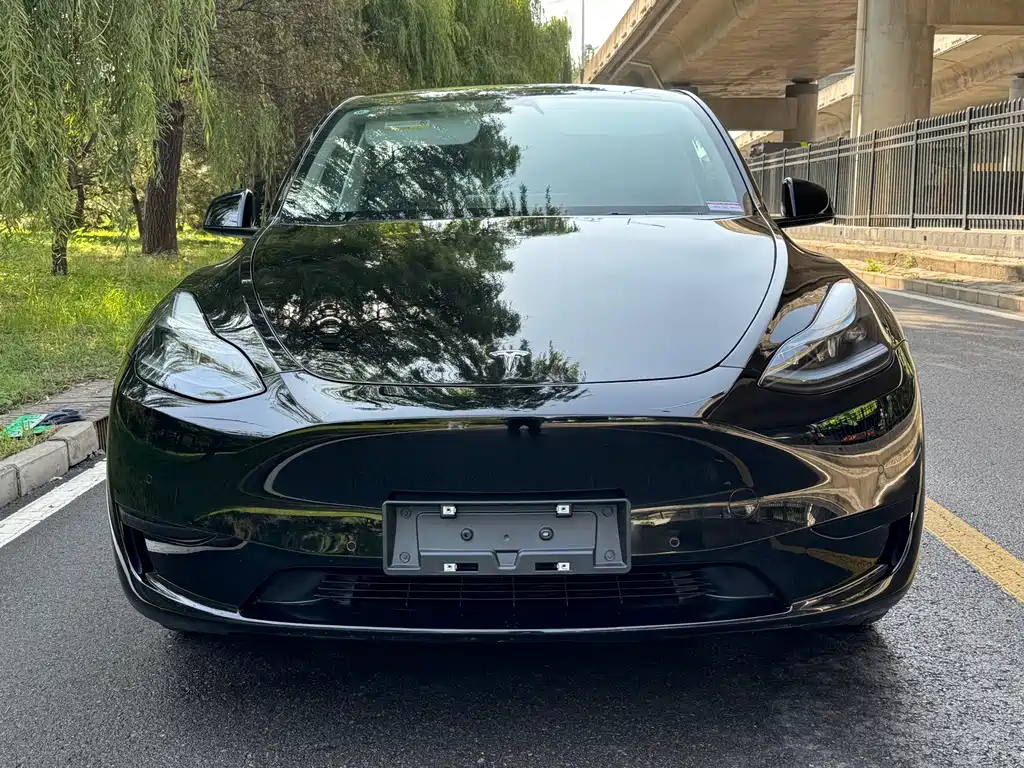Tesla Model Y — миниатюра 2
