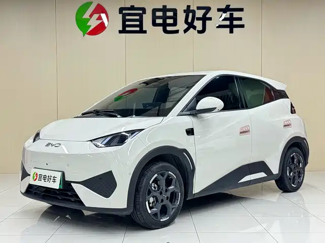 2025 BYD Seagull