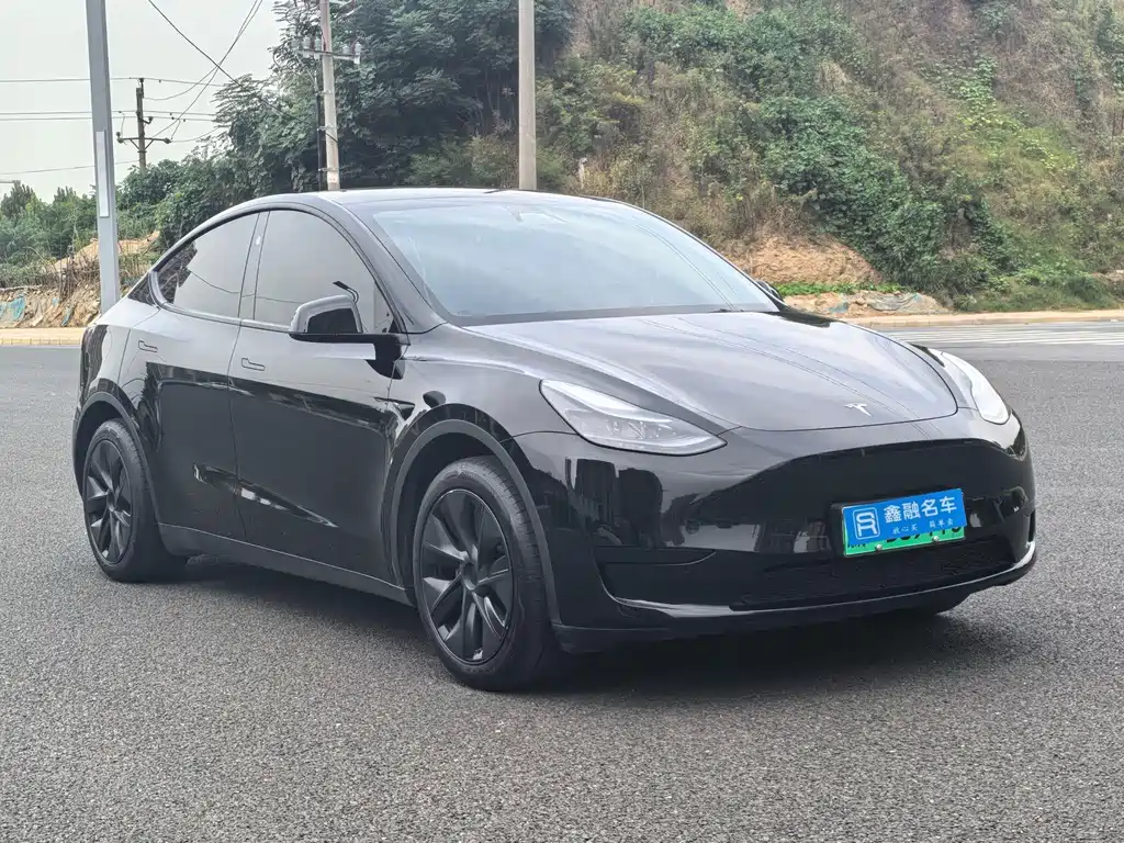 Tesla Model Y — миниатюра 5