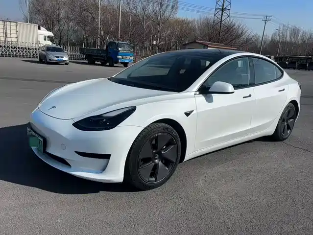 TESLA MODEL 3 2021