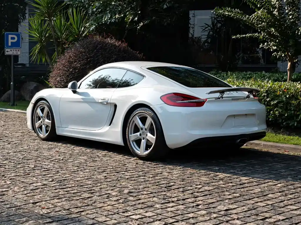 Porsche Cayman — миниатюра 3