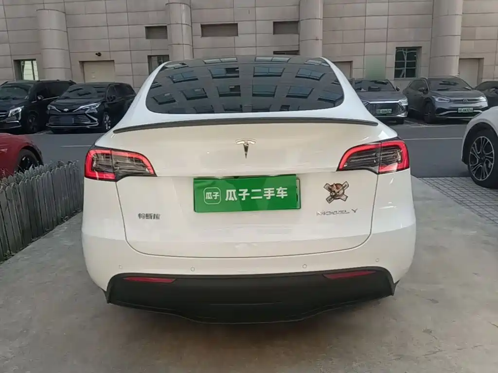 Tesla Model Y — миниатюра 6