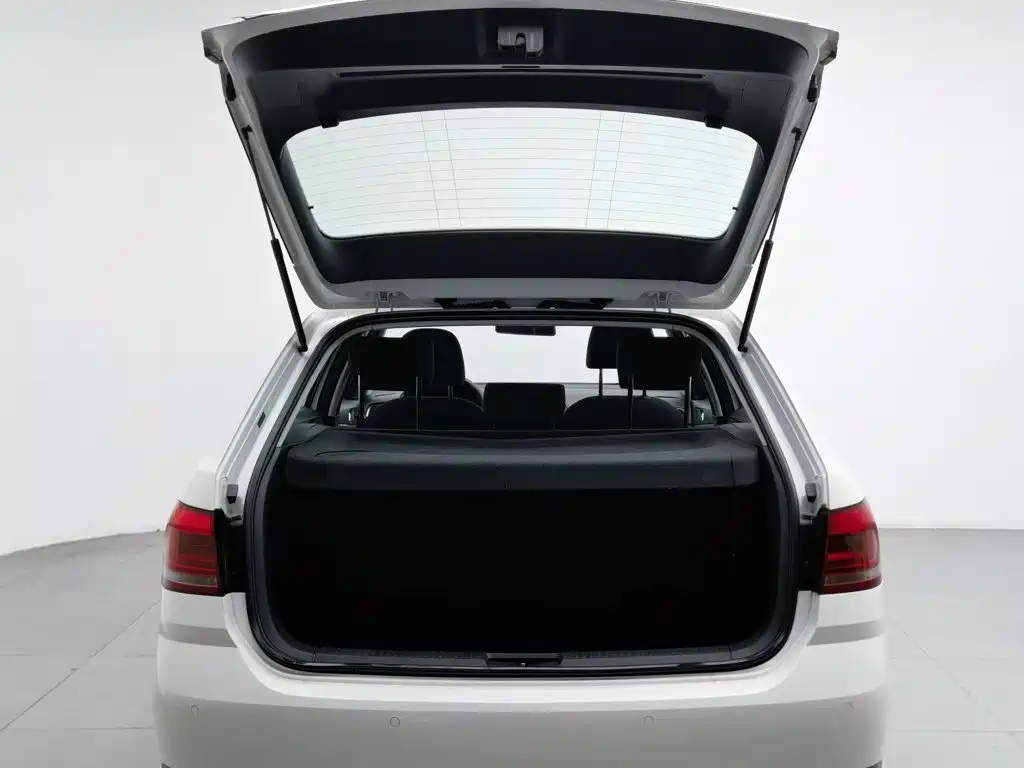 Volkswagen Gran Lavida — миниатюра 16