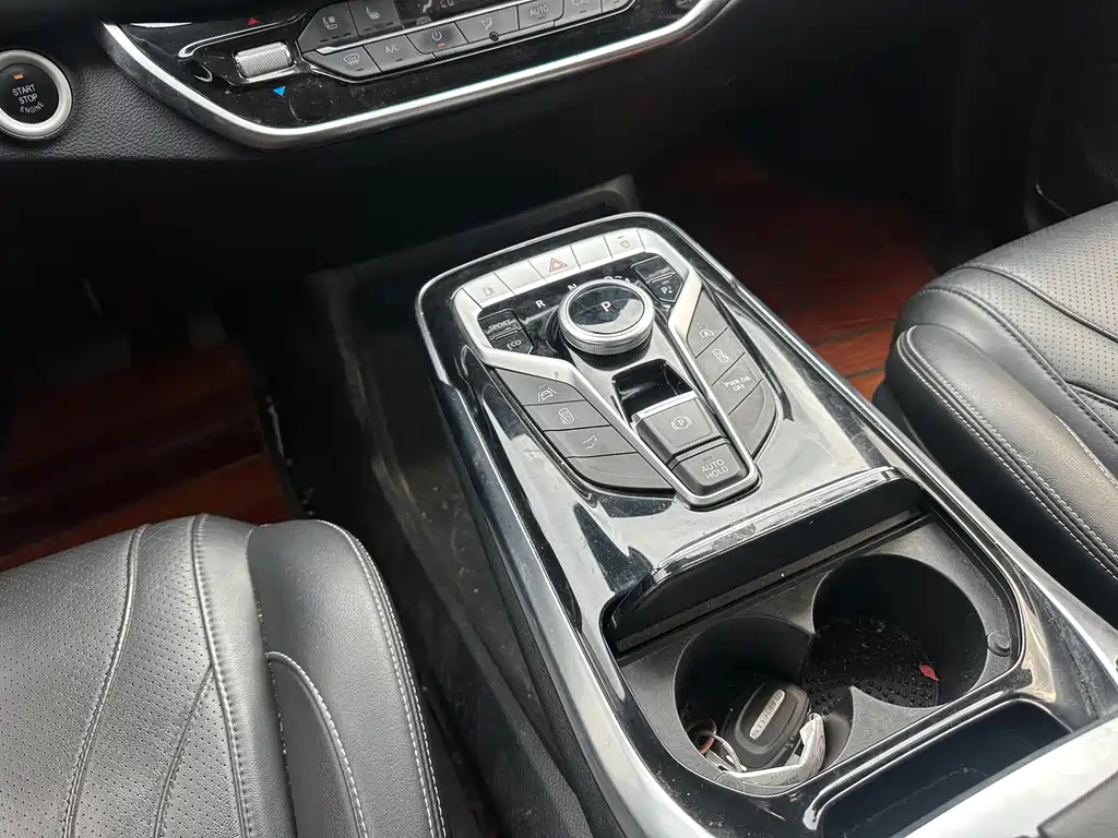 SAIC MAXUS CHASE G20