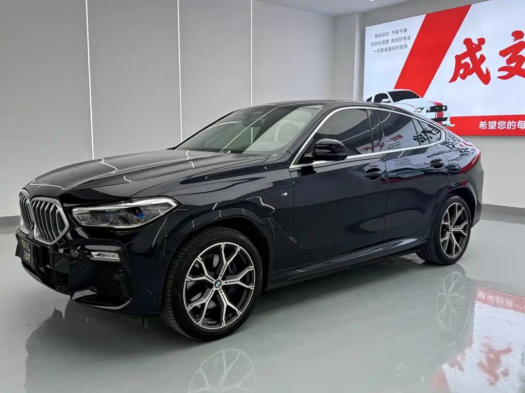 BMW X6 2021 xDrive40i Premium M Sport