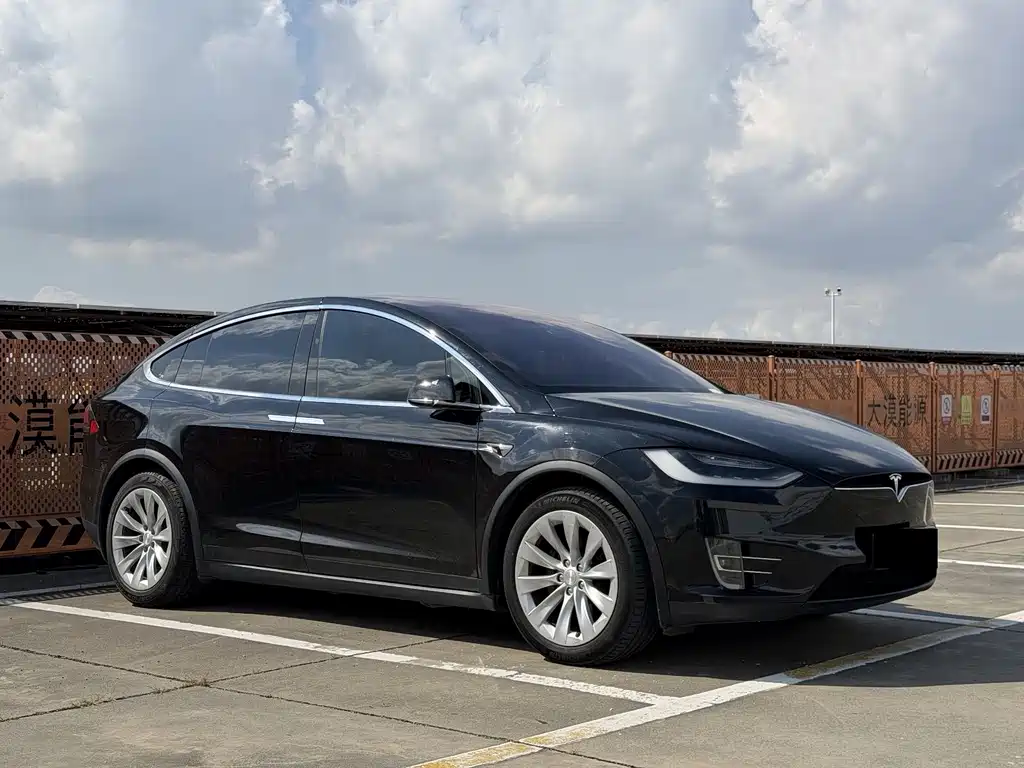 Tesla Model X — миниатюра 3