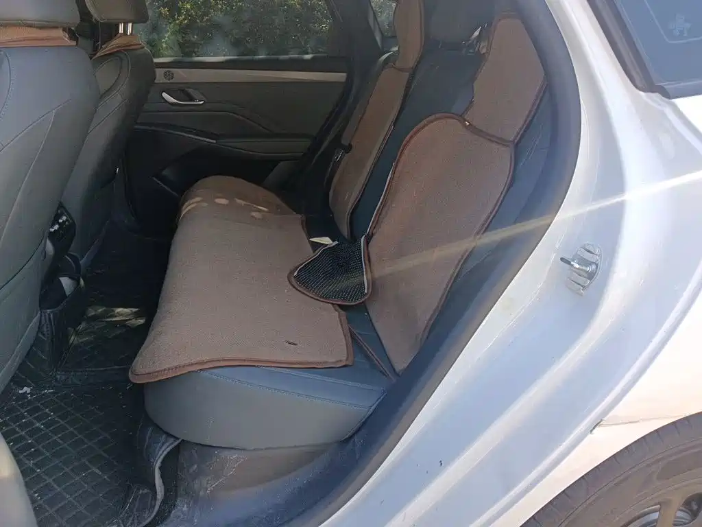 BYD Qin PLUS — миниатюра 15
