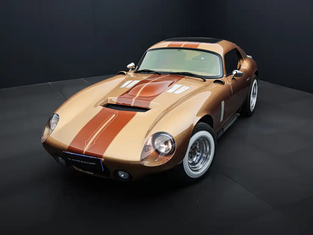 SHELBY SHELBY Daytona 2020 6.2L AT