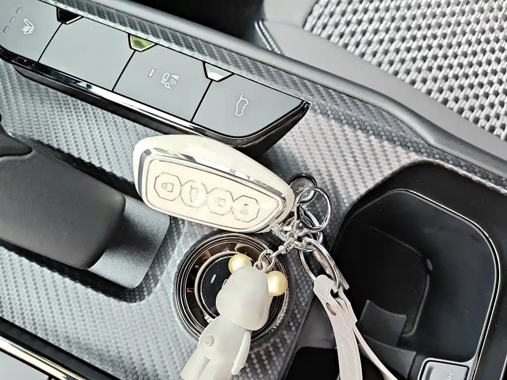 Haval Haval Big Dog PLUS — миниатюра 12