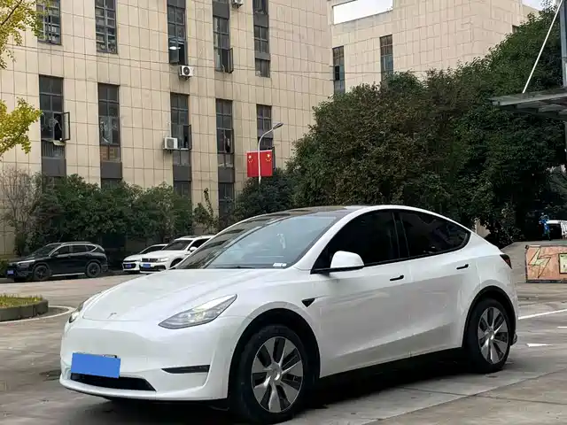 TESLA MODEL Y 2021