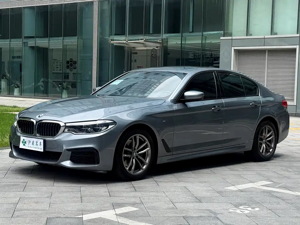 BMW 5 Series (Import) 2020