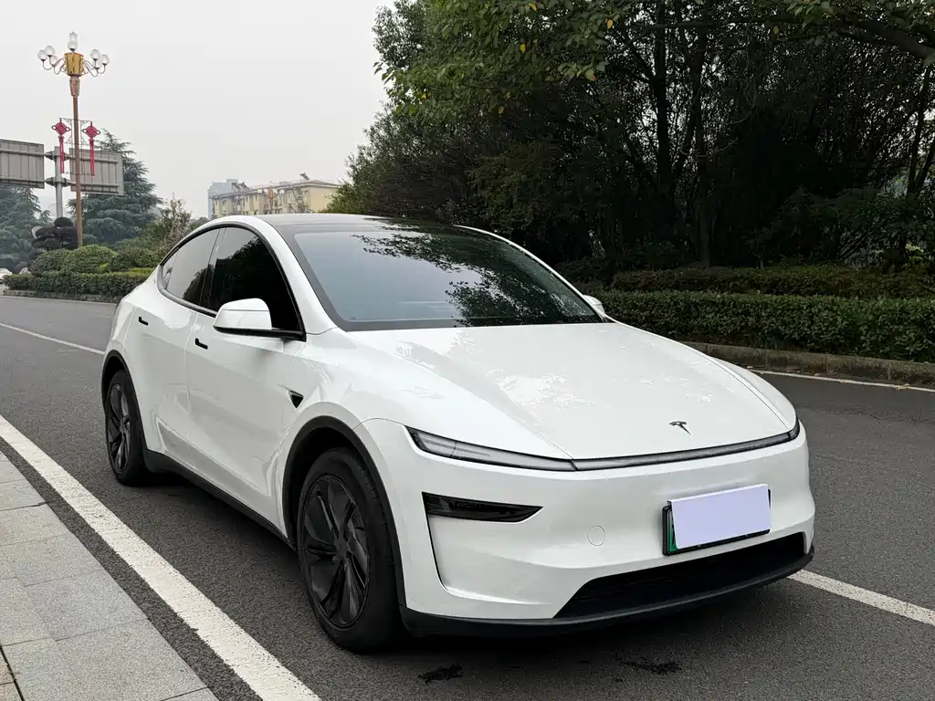 Tesla Model Y — миниатюра 3