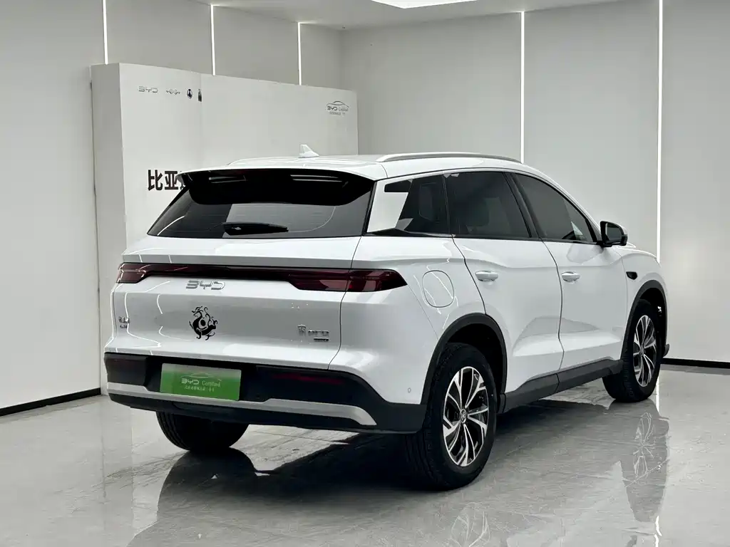BYD Pro New Energy — миниатюра 3