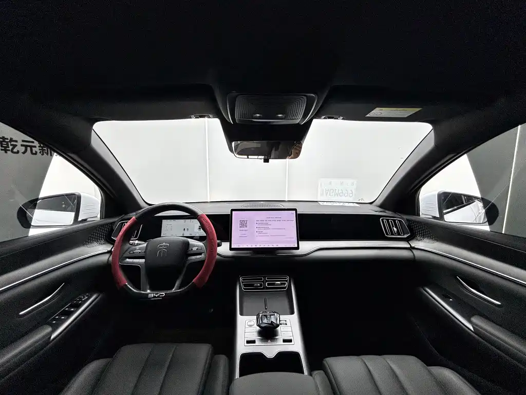 BYD Pro New Energy — миниатюра 5