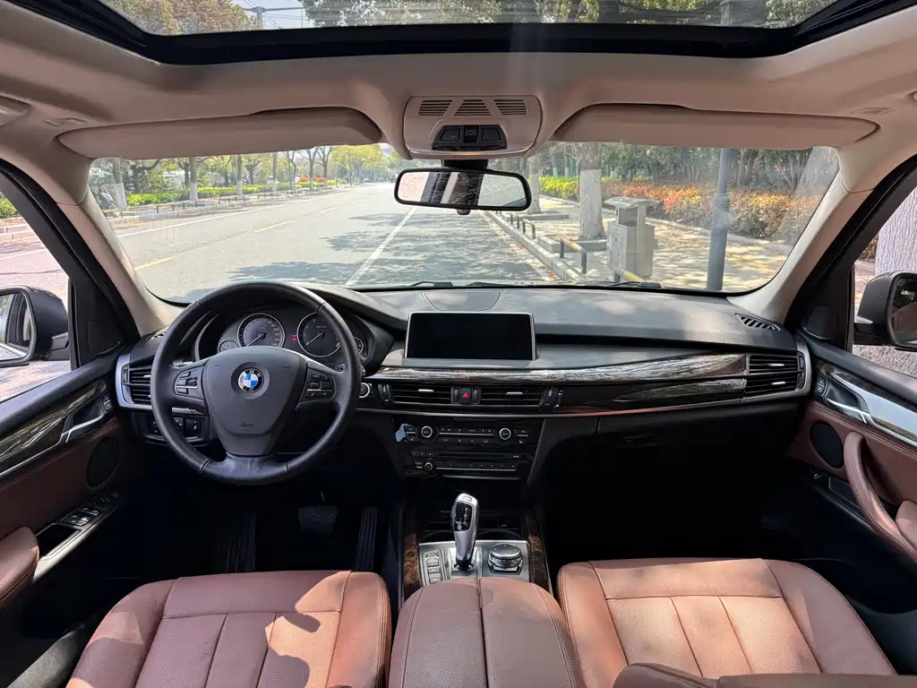 BMW X5 (Import) — миниатюра 8