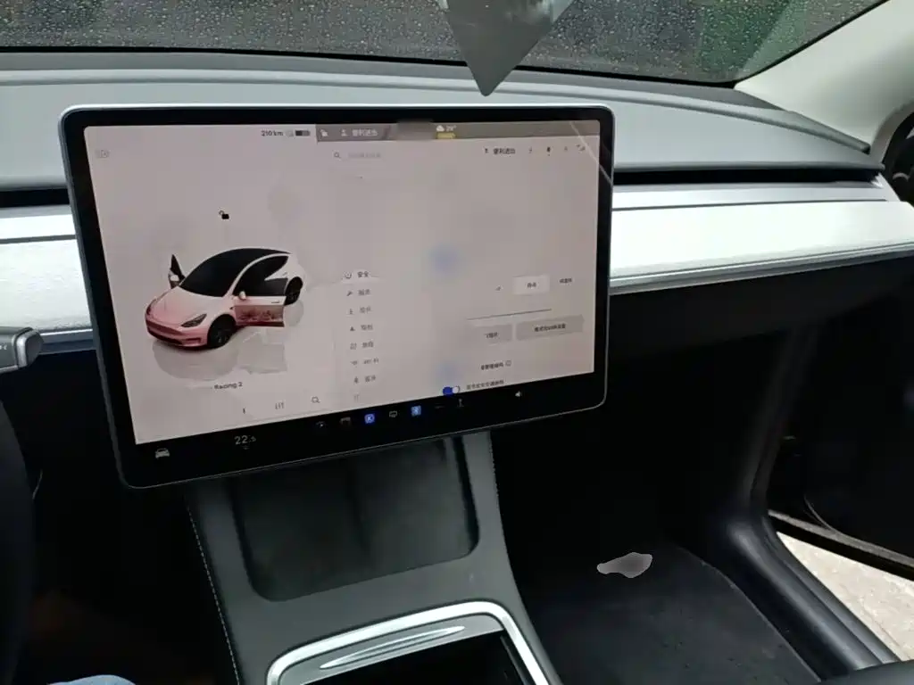 Tesla Model Y — миниатюра 10