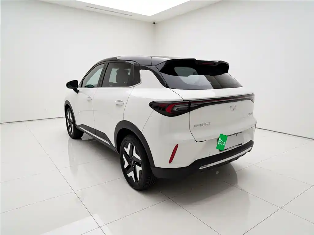 Wuling BinguoS S 2025 325km Flagship
