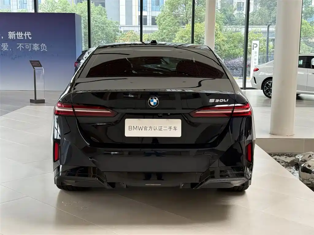 BMW 5 Series — миниатюра 8
