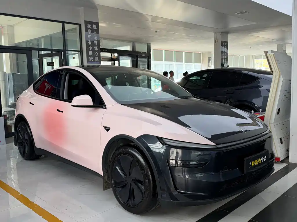 Tesla Model Y — миниатюра 2