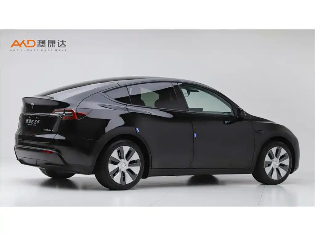 Tesla Model Y — миниатюра 3
