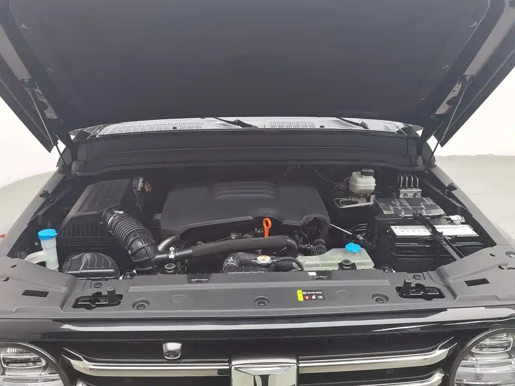 Tank 300 2021 2.0T