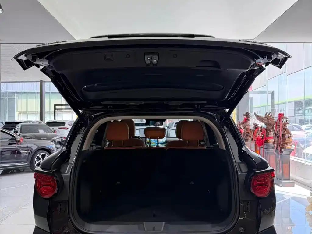 Haval Big Dog PLUS — миниатюра 11
