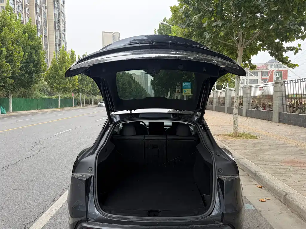 Tesla Model Y — миниатюра 5
