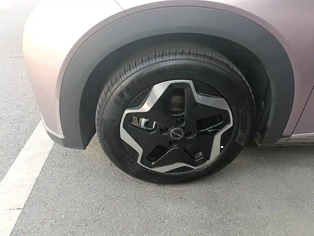 BYD Dolphin — миниатюра 23