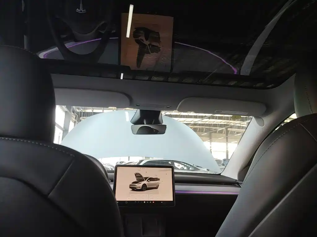 Tesla Model Y — миниатюра 18