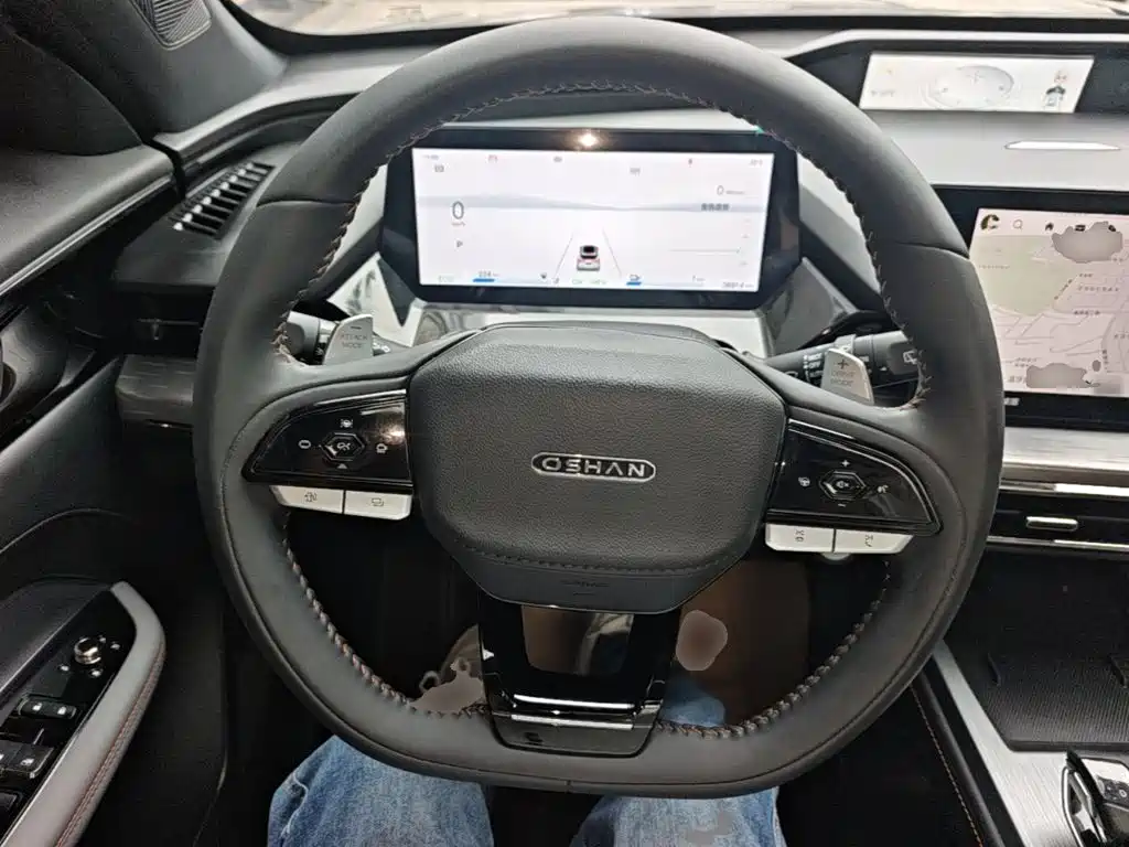 Oshan Oushang Z6 New Energy — миниатюра 11