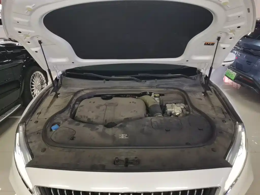Geely Borui Hybrid — миниатюра 20