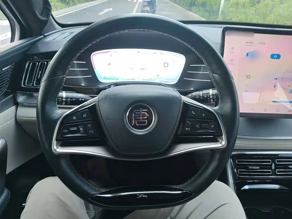 BYD Tang New Energy — миниатюра 11