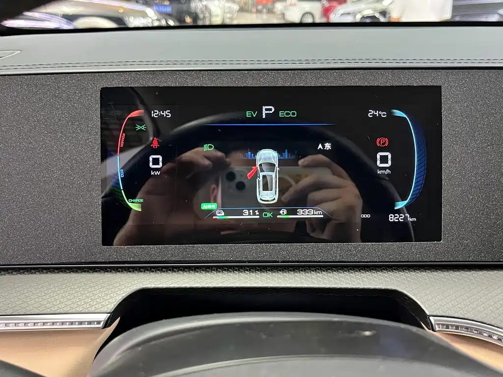BYD Pro New Energy - фото 10
