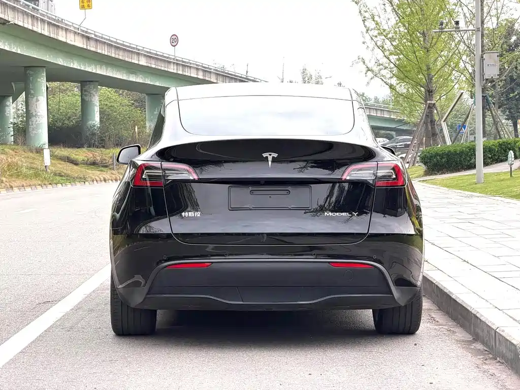 Tesla Model Y — миниатюра 10