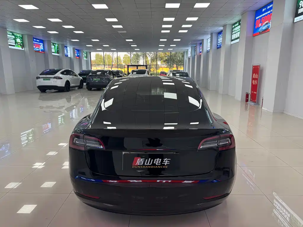 Tesla Model 3 — миниатюра 5