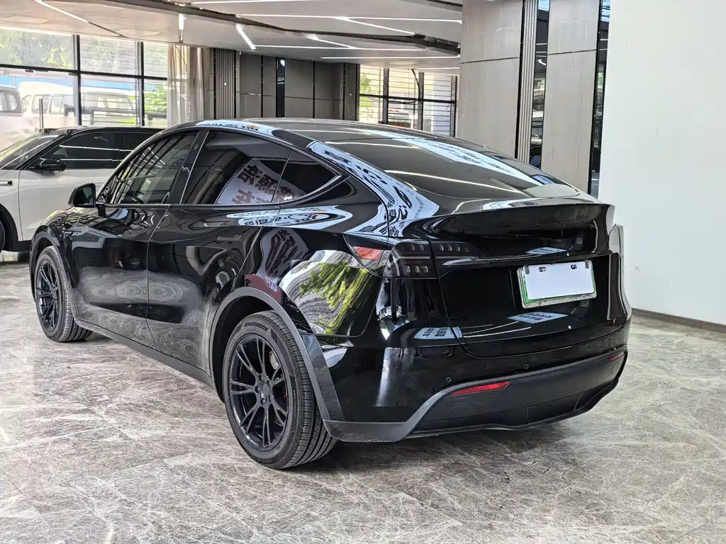 Tesla Model Y — миниатюра 5
