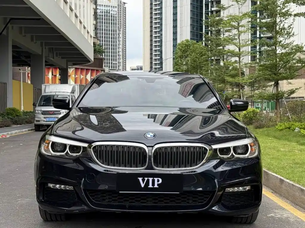 BMW 5 Series — миниатюра 2