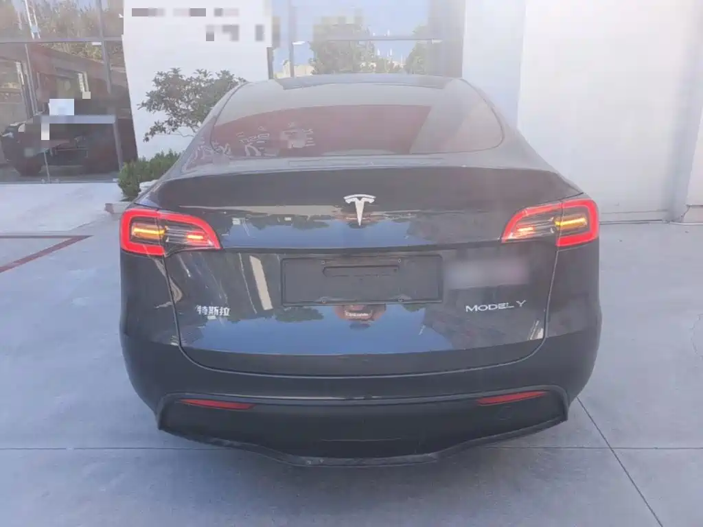 Tesla Model Y — миниатюра 6