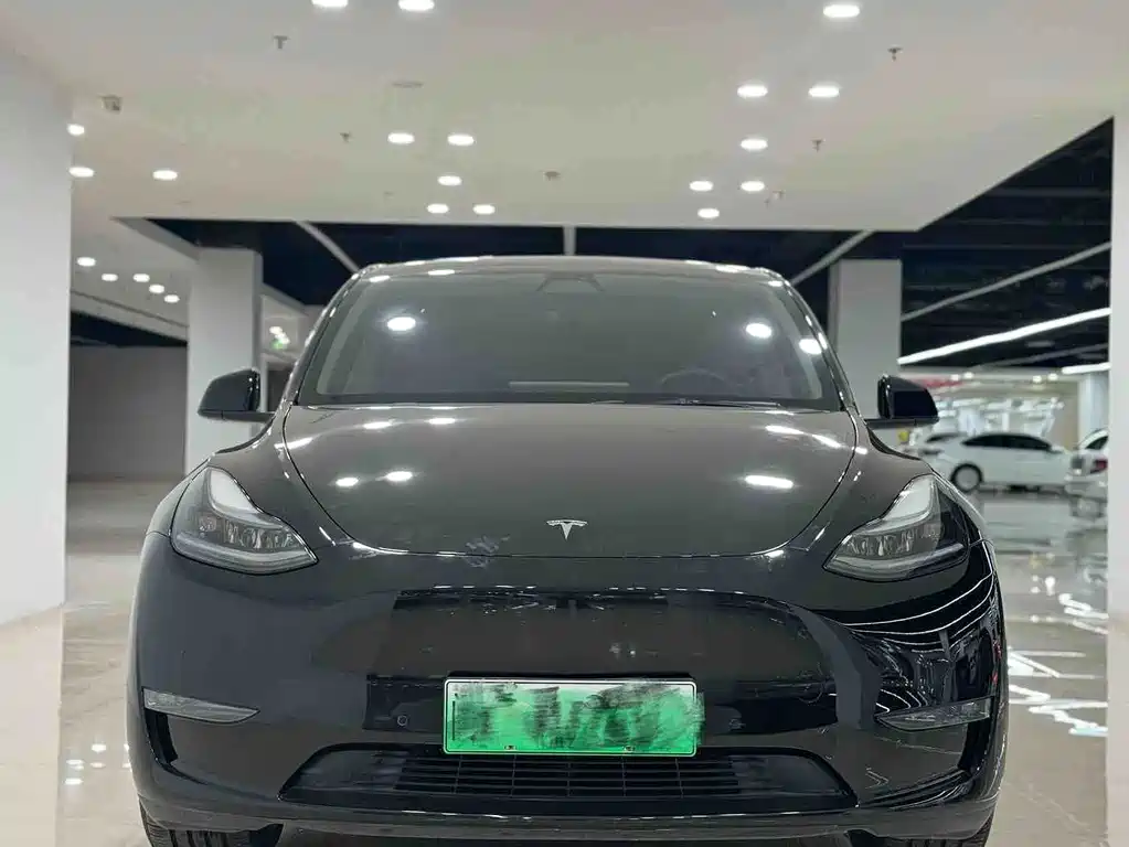 Tesla Model Y — миниатюра 2