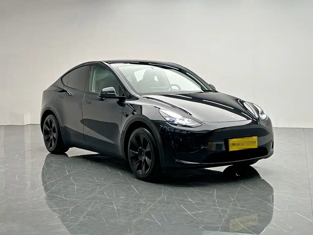 Tesla Model Y — миниатюра 8