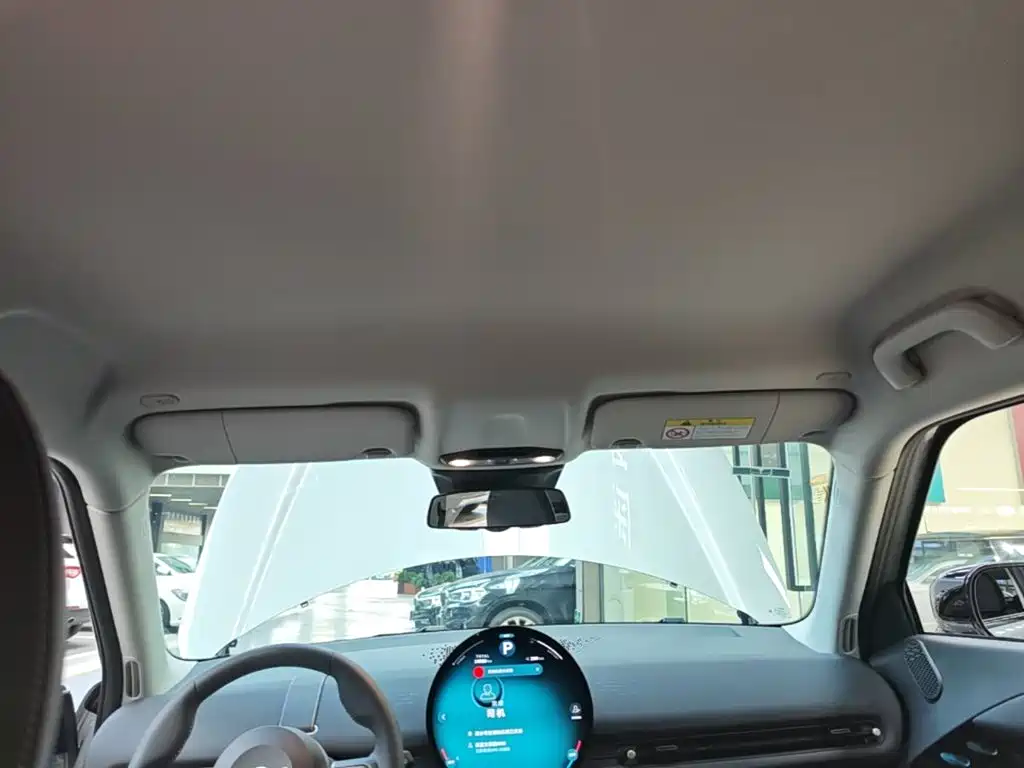 MINI MINI ACEMAN EV — миниатюра 18