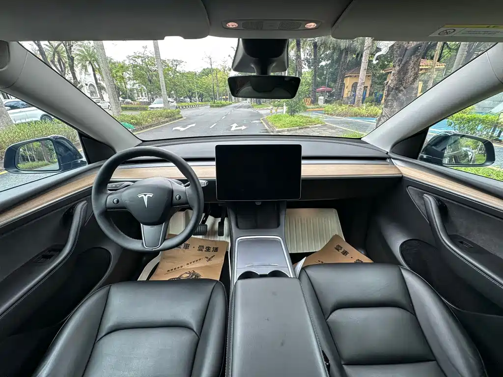 Tesla Model Y — миниатюра 7