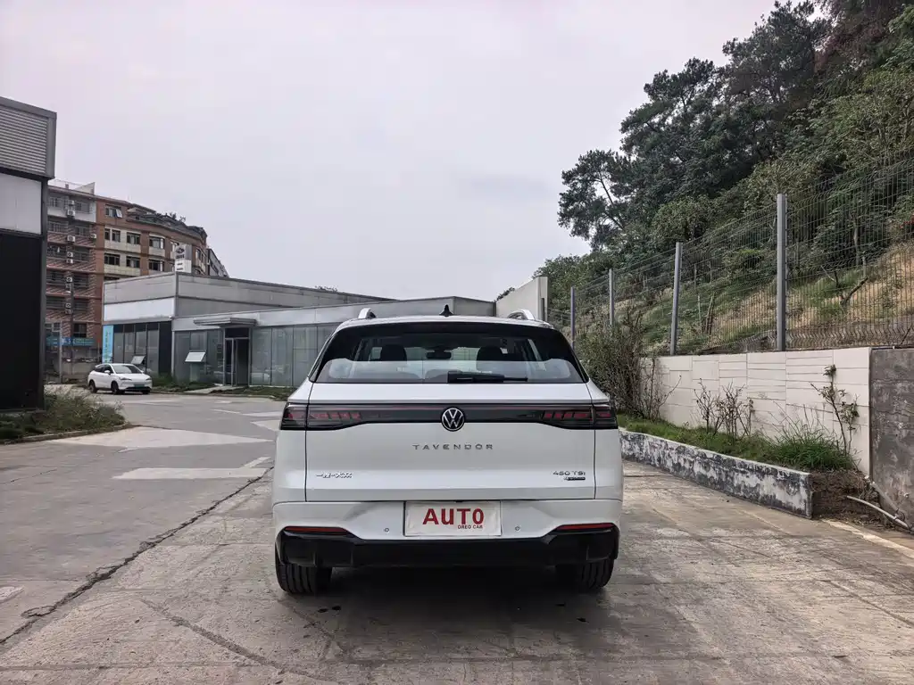 Volkswagen Tavendor — миниатюра 6