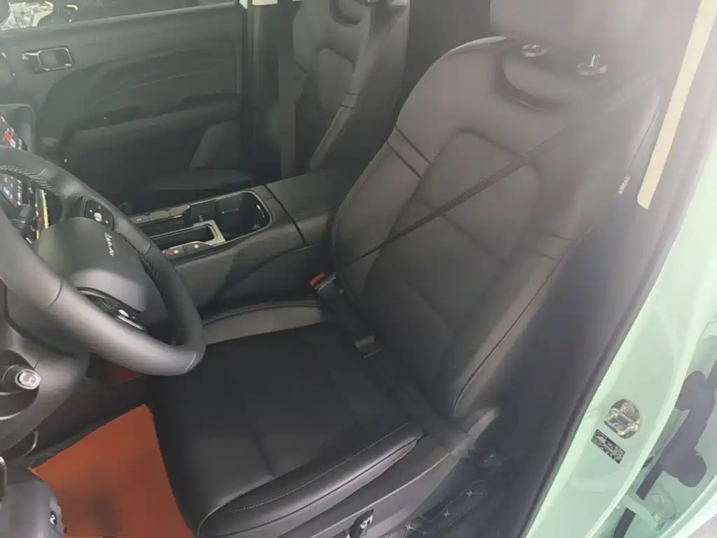 Haval Menglong New Energy — миниатюра 15