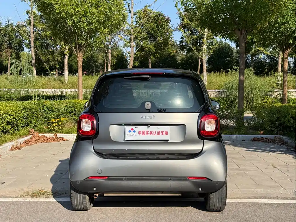 smart Smart Fortwo — миниатюра 17