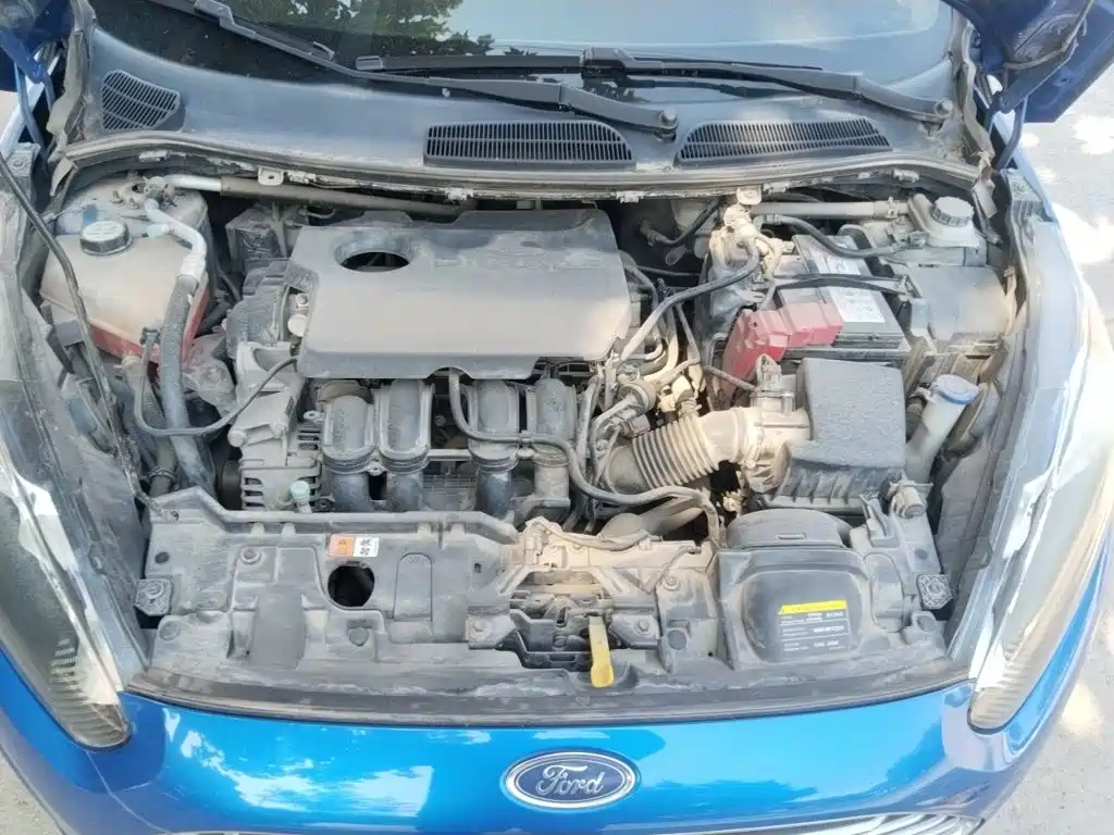 Ford Fiesta — миниатюра 21